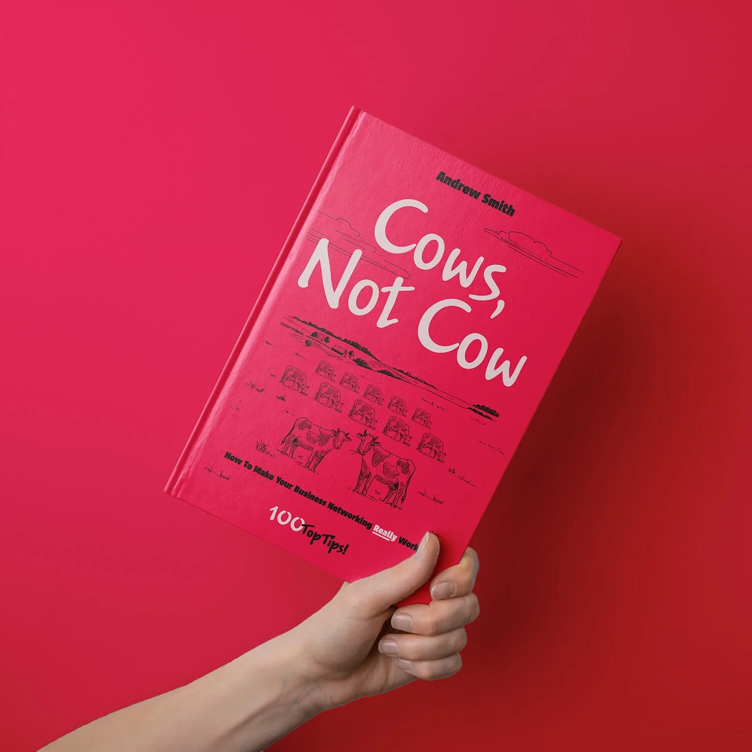 Cows Not Cow book cover by Andrew Smith